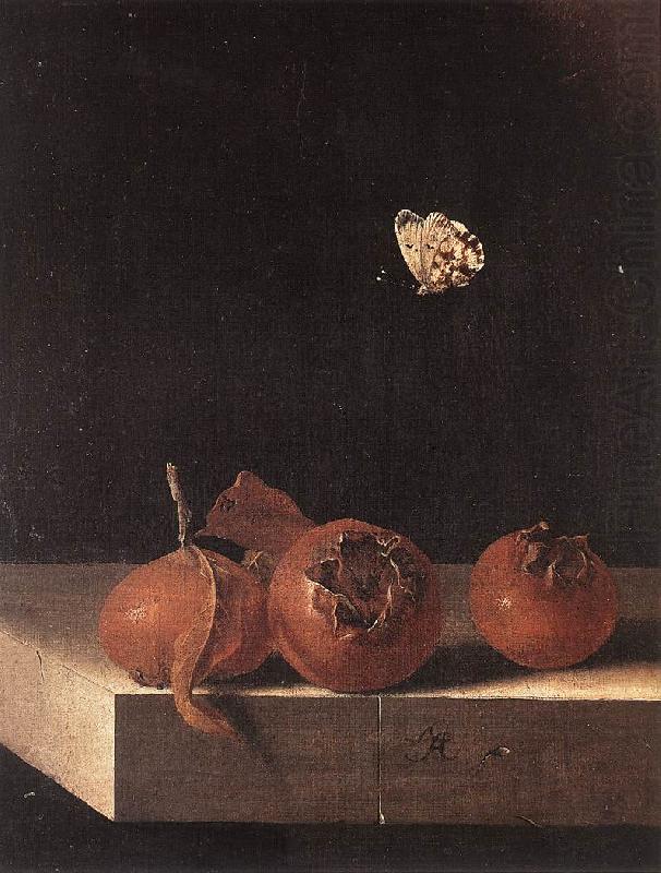 COORTE, Adriaen Three Medlars with a Butterfly df china oil painting image